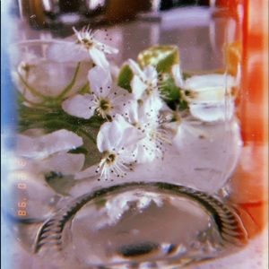 Meet your Posher, Jillian